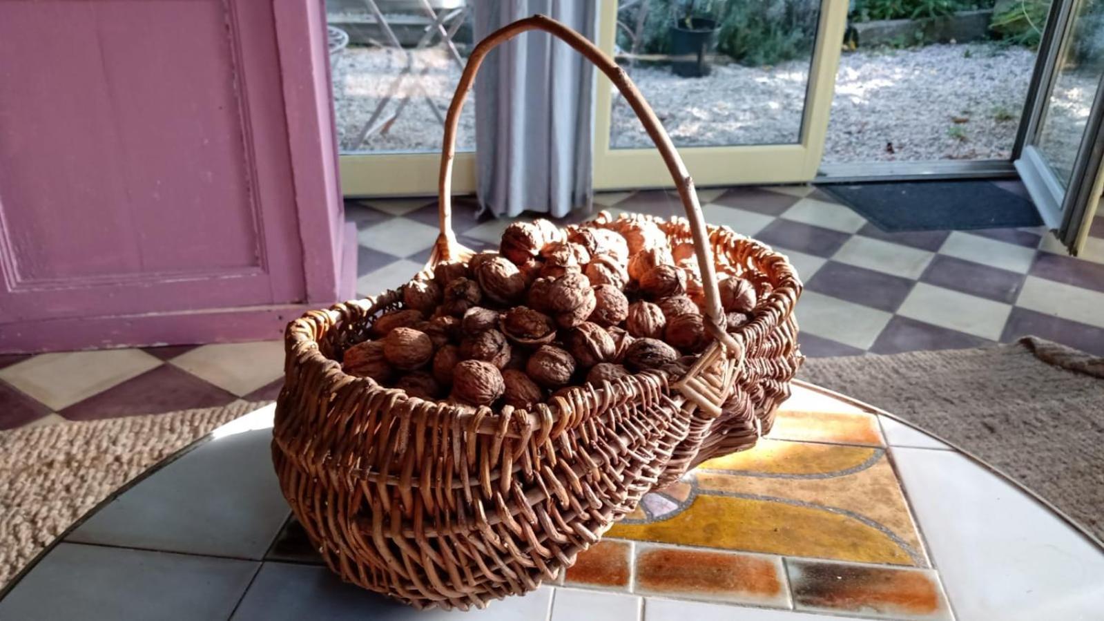 La Demeure Du Figuier Villa Évran Екстериор снимка
